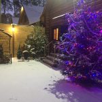 Банная Усадьда, двор и зона для барбекю. Раменское, Подмосковье